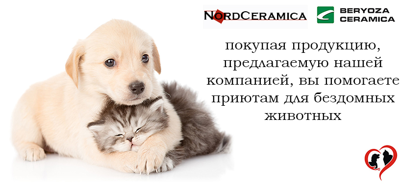 Благотворительность